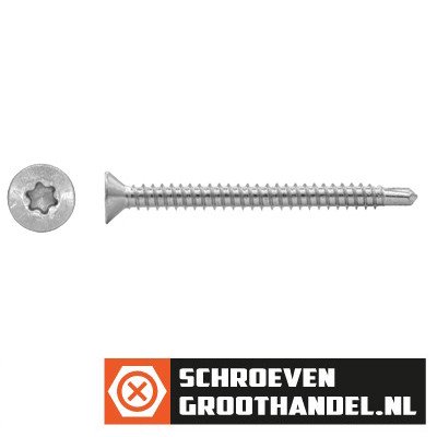 Alternatieve afbeelding voor Boorschroeven RVS C1 4,8x100mm platkop torx DIN 7504-P 100 stuks