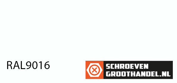 Alternatieve afbeelding voor Schroeven voor Trespa® / HPL-platen 4,8x38 mm RAL9016 verkeerswit RVS A2 TORX 100 stuks