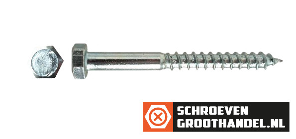 Alternatieve afbeelding voor Houtdraadbouten M6 verzinkt 6x60 mm 200 stuks