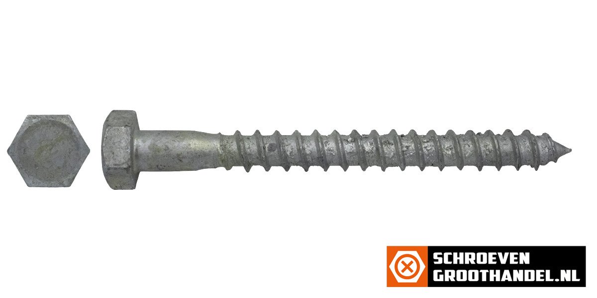 Alternatieve afbeelding voor Houtdraadbouten M10 thermisch verzinkt 10x50 mm 100 stuks