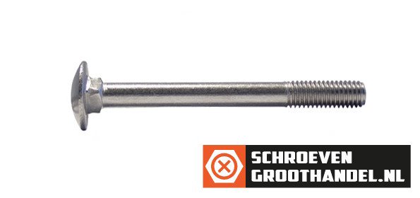 Alternatieve afbeelding voor Slotbouten M10 RVS A2 10x280 mm 10 stuks