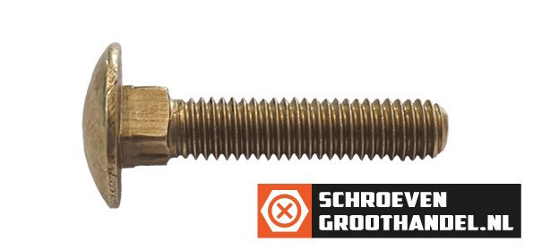 Alternatieve afbeelding voor Slotbouten M6 Messing 6x35 mm 25 stuks
