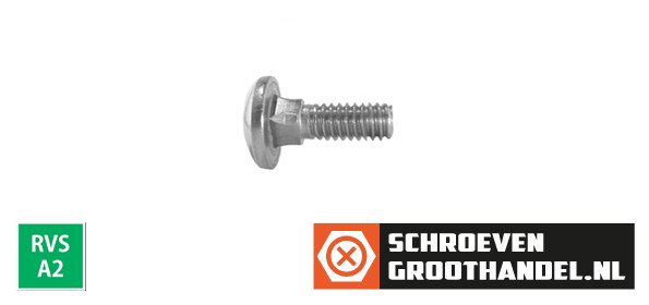 Alternatieve afbeelding voor Slotbouten M10 RVS A2 10x25 mm 100 stuks