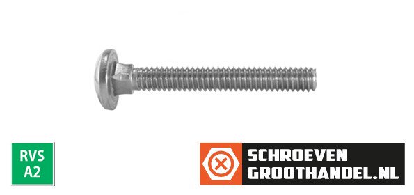 Alternatieve afbeelding voor Slotbouten M8 RVS A2 8x45 mm 100 stuks