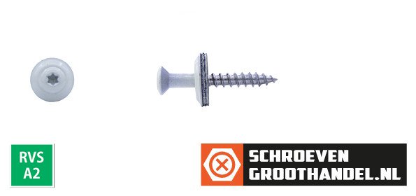 Alternatieve afbeelding voor Spenglerschroeven 4,5x35mm RVS A2 RAL9010 Zuiver wit lenskop TORX-20 200 stuks