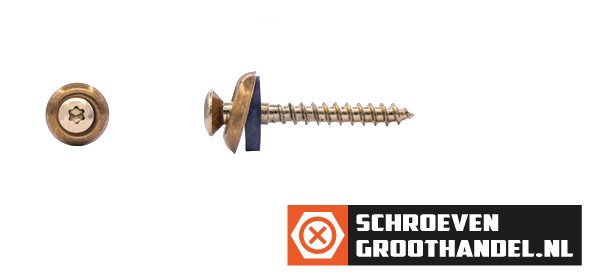 Alternatieve afbeelding voor Spenglerschroeven 4,5x45mm RVS A2 verkoperd lenskop TORX-20 200 stuks