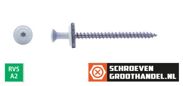 Alternatieve afbeelding voor Spenglerschroeven 4,5x80mm RVS A2 RAL9010 Zuiver wit lenskop TORX-20 200 stuks