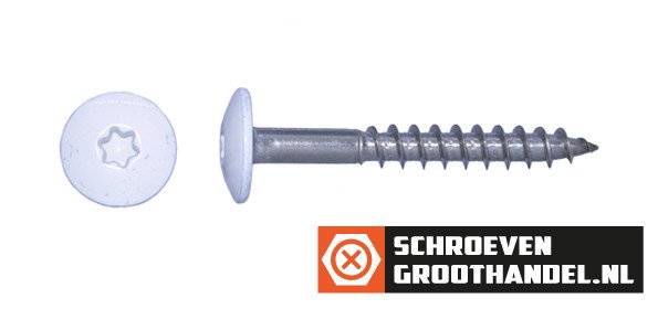 Alternatieve afbeelding voor Schroeven voor Trespa® / HPL-platen 4,8x38 mm RAL9016 verkeerswit RVS A2 TORX 100 stuks