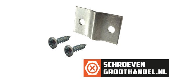 Gaaspaneelbeslag verzinkt 4x16 mm met schroeven 6 stuks