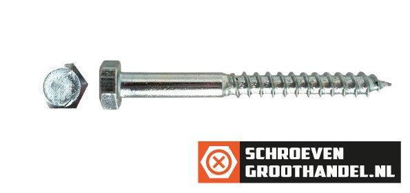 Houtdraadbouten M10 verzinkt 10x70 mm 100 stuks