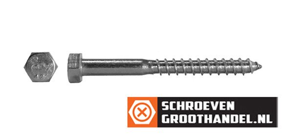 Houtdraadbouten M10 verzinkt 10x35 mm 100 stuks