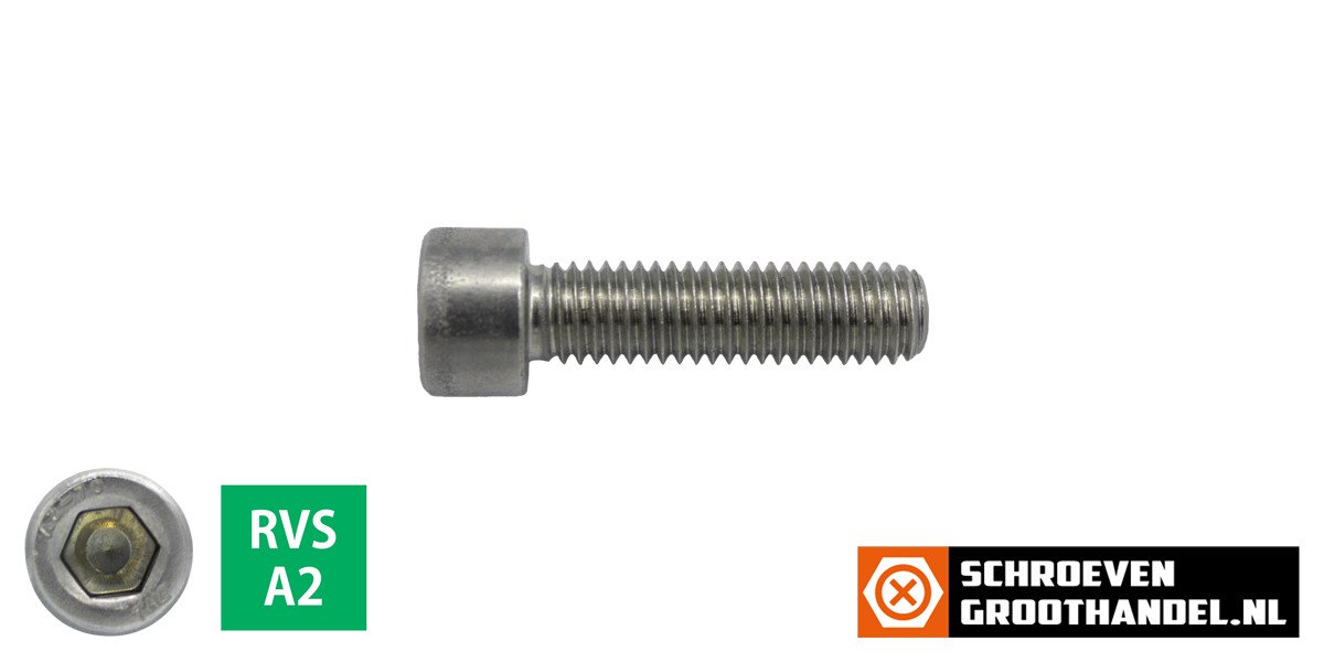 Inbusbouten cilinderkop M6 x 10mm RVS A2 DIN912 100 stuks