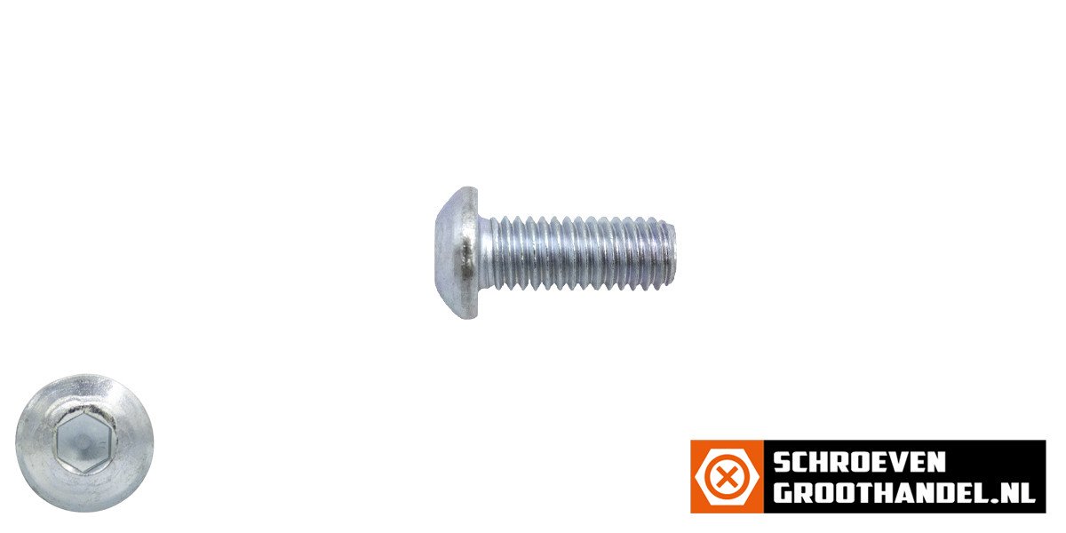 Laagbolkopschroeven laagbolkop M5 x 8mm verzinkt ISO7380-1 100 stuks
