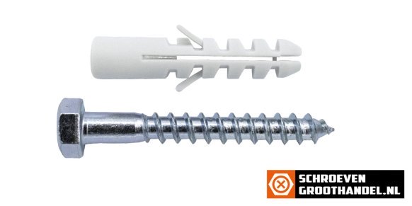 Nylon pluggen 10mm met houtdraadbouten 8x60 4 stuks
