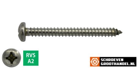 Parkers RVS A2 4,8x60mm cilinderkop philips DIN 7981 200 stuks