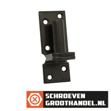 Plaatduim 16 mm zwart verzinkt
