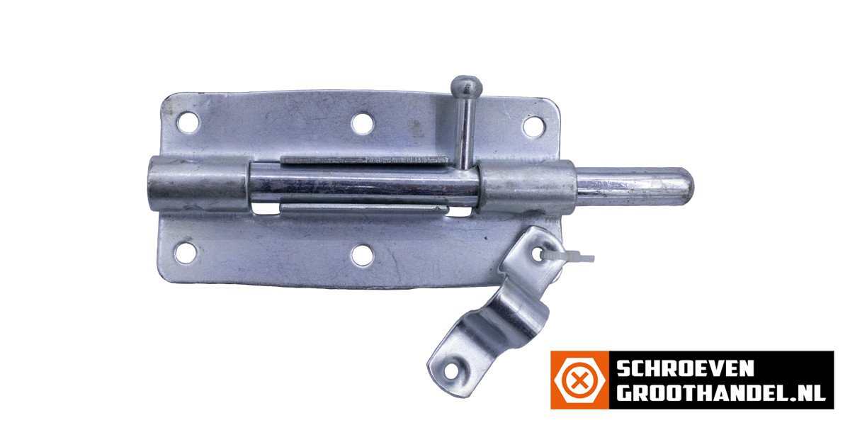 Plaatgrendel 100 mm verzinkt 1 stuk