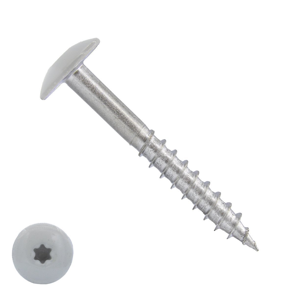 Schroeven voor Trespa® / HPL-platen 4,8x38 mm RAL7035 lichtgrijs RVS A2 TORX 100 stuks