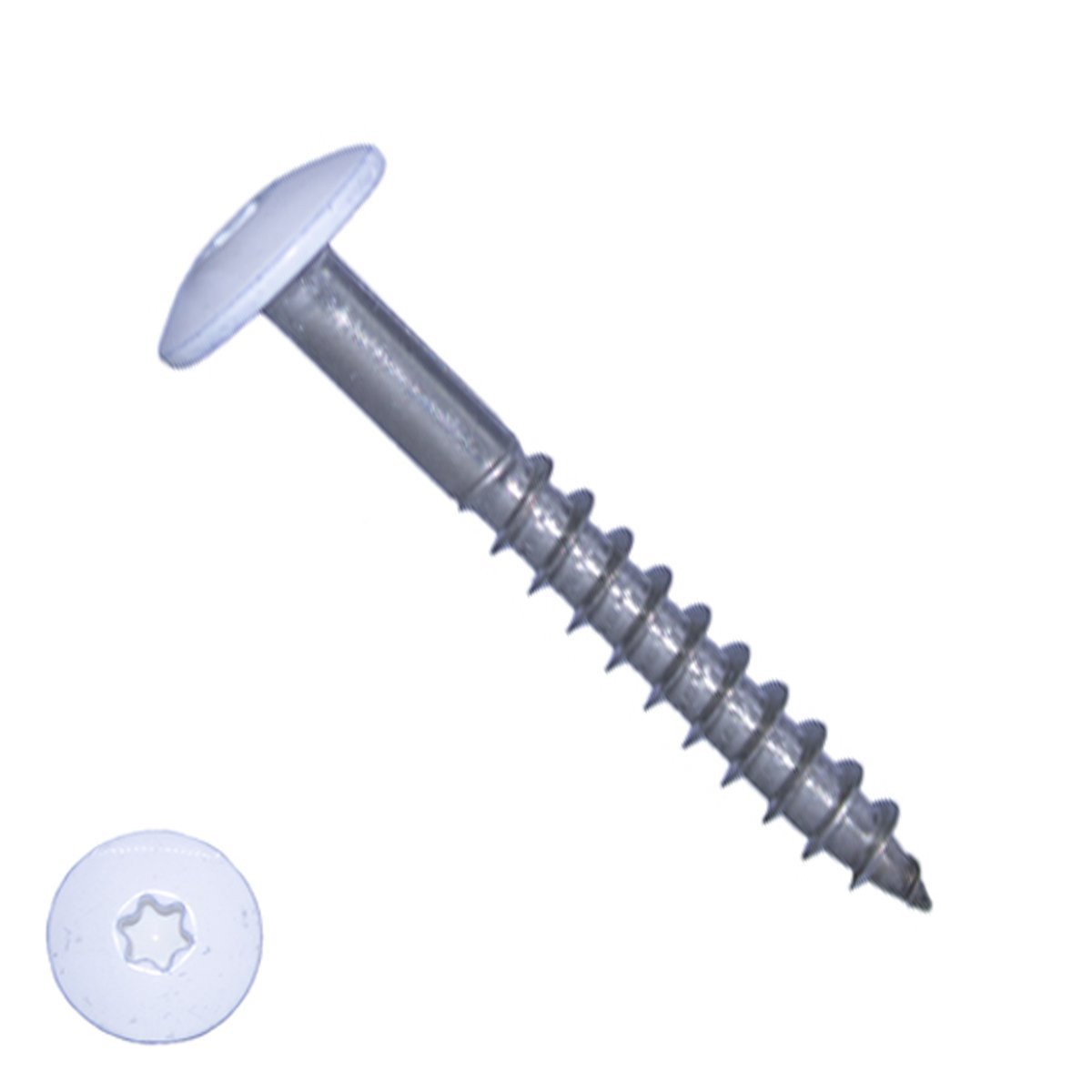 Schroeven voor Trespa® / HPL-platen 4,8x38 mm RAL9016 verkeerswit RVS A2 TORX 100 stuks