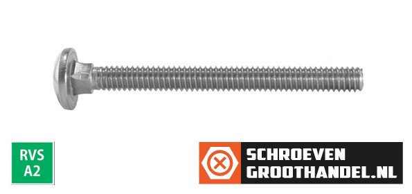 Slotbouten M5 RVS A2 5x65 mm 100 stuks