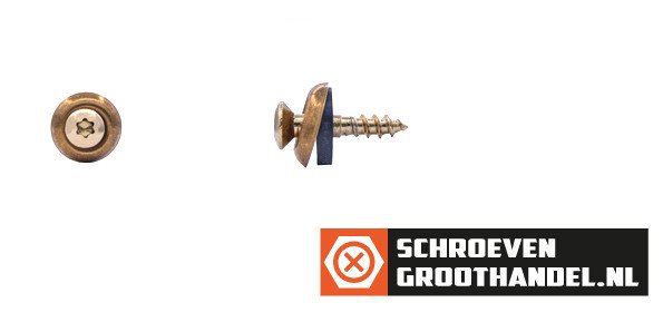 Spenglerschroeven 4,5x25mm RVS A2 verkoperd lenskop TORX-20 200 stuks