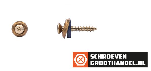 Spenglerschroeven 4,5x35mm RVS A2 verkoperd lenskop TORX-20 200 stuks