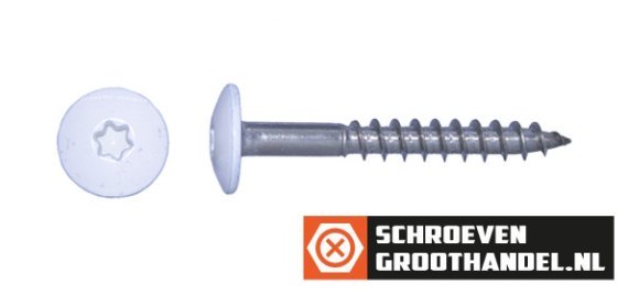 Schroeven voor Trespa® / HPL-platen 4,8x38 mm RAL9016 verkeerswit RVS A2 TORX 100 stuks