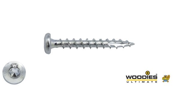 Woodies Cilinderkopschroeven verzinkt TORX-25 5x50mm 200 stuks 