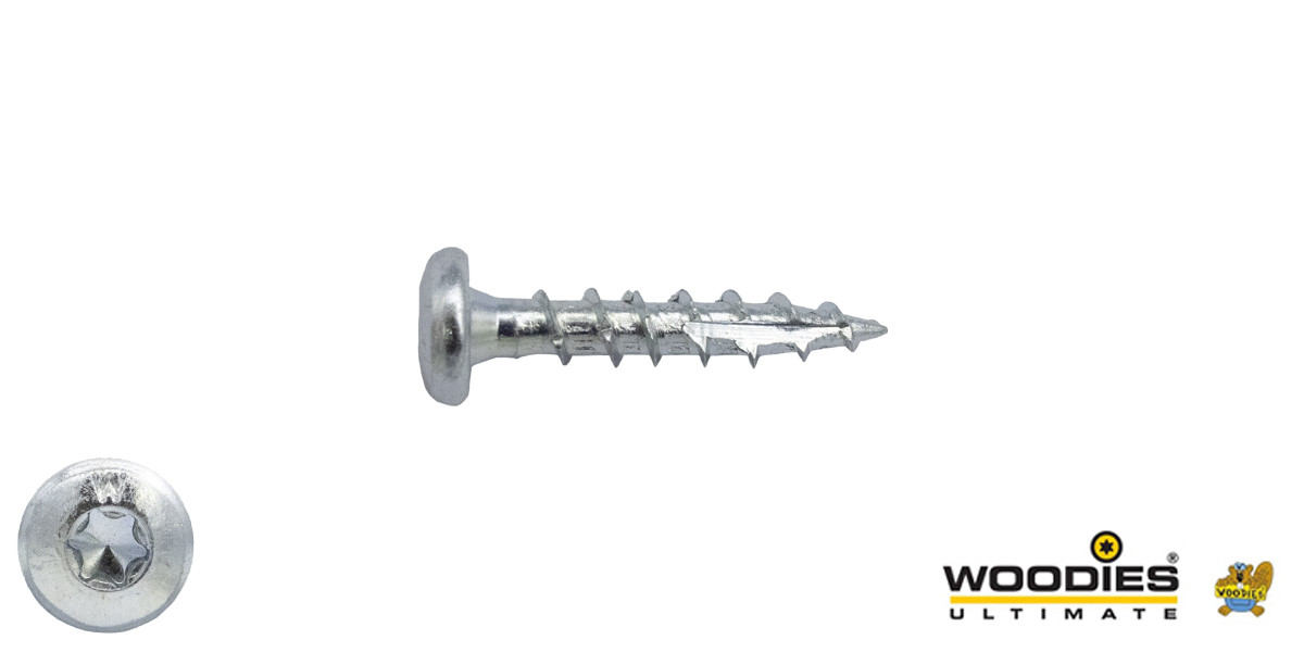 Woodies Cilinderkopschroeven verzinkt TORX-10 3x20mm 200 stuks 