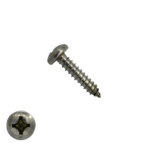 Parkers RVS A2 5,5x19mm cilinderkop philips DIN 7981 200 stuks