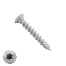 Dynaplus paalhouderschroeven 10x50mm ar-coating zilver cilinderkop torx 50 stuks