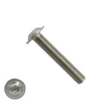 Laagbolkopschroeven laagbolkop met flens M6 x 45mm RVS A2 TORX-30 ISO7380-2 100 stuks