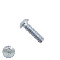 Laagbolkopschroeven laagbolkop M4 x 25mm verzinkt ISO7380-1 100 stuks