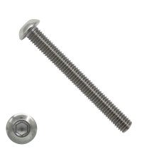 Laagbolkopschroeven laagbolkop M6 x 60mm RVS A2 ISO7380-1 100 stuks