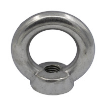 Oogmoeren M20 DIN582 RVS A4 1 stuk
