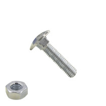 Slotbouten M10 verzinkt 10x35 mm met moeren 25 stuks