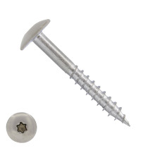 Schroeven voor Trespa® / HPL-platen 4,8x32 mm Blanco RVS A2 TORX 100 stuks