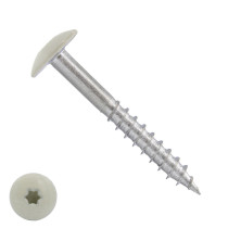 Schroeven voor Trespa® / HPL-platen 4,8x50 mm RAL1013 parelwit RVS A2 TORX 100 stuks