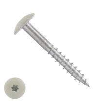 Schroeven voor Trespa® / HPL-platen 4,8x50mm RAL9001 crèmewit RVS A2 TORX 100 stuks