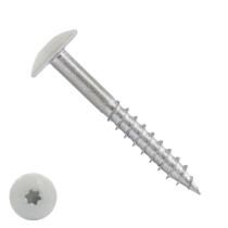 Schroeven voor Trespa® / HPL-platen 4,8x60 mm RAL9010 zuiver wit RVS A2 TORX 100 stuks
