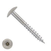 Schroeven voor Trespa® / HPL-platen 4,8x32 mm Blanco RVS A2 TORX 100 stuks