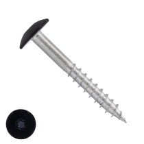 Schroeven voor Trespa® / HPL-platen 4,8x32 mm RAL9005 gitzwart RVS A2 TORX 100 stuks
