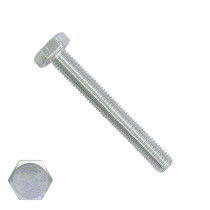 Tapbouten M10 x 60mm verzinkt DIN933 100 stuks