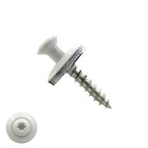 Spenglerschroeven 4,5x25mm RVS A2 RAL9010 Zuiver wit lenskop TORX-20 200 stuks