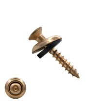 Spenglerschroeven 4,5x25mm RVS A2 verkoperd lenskop TORX-20 200 stuks