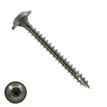 Tellerkopschroeven 8x50mm RVS A2 discuskop TORX-40 100 stuks