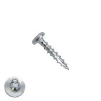 Woodies Cilinderkopschroeven verzinkt TORX-10 3x20mm 200 stuks 